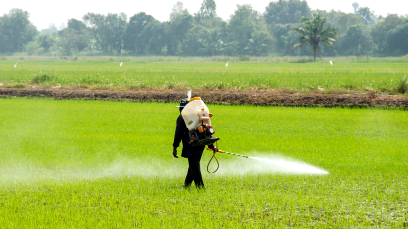 Garantir segurança jurídica na propriedade rural é fundamental — e Christian Zini Amorim analisa como prevenir litígios fundiários no campo.