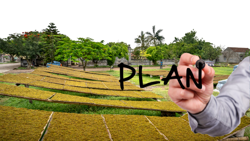 Produtores encontram novas perspectivas de apoio no Plano Safra 2025, ressalta Aldo Vendramin.