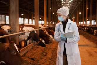 Como mostra João Eustáquio De Almeida Junior, a tecnologia e a inovação da pecuária 4.0 já estão moldando o futuro do campo.