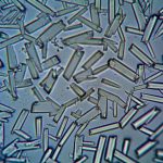 Estruturas cristalinas observadas em close-up por microscopia.