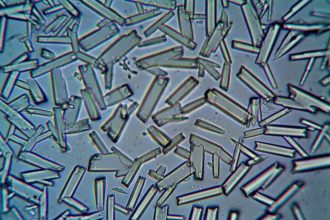 Estruturas cristalinas observadas em close-up por microscopia.