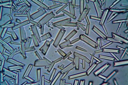 Estruturas cristalinas observadas em close-up por microscopia.