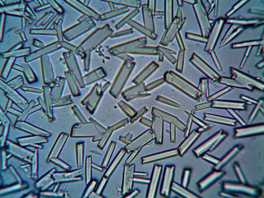 Estruturas cristalinas observadas em close-up por microscopia.